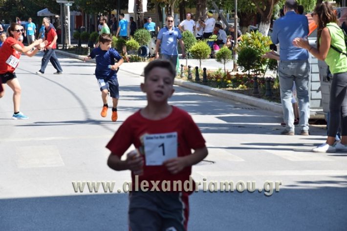 alexandriamou_1_alexandrinos_dromos051